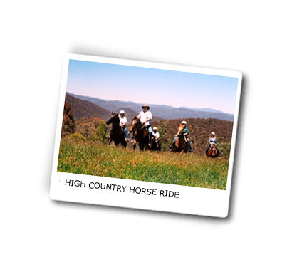 Horse Ride Tours, Victoria